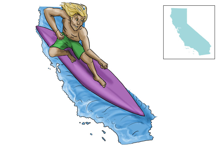The surfer reminds us of California.